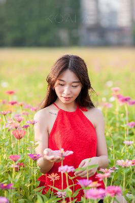 小熊视频究竟怎么了？快用力啊！你知道其中的秘密吗？