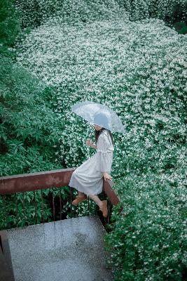 免费观看电视？麻花天美影视10大热门剧集大盘点！